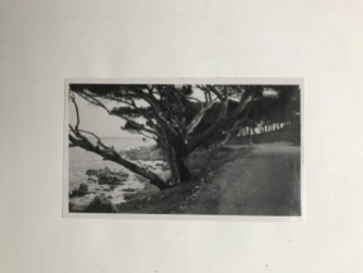 Picture of the Road du Cap taken by Patrick Heron in January 1949 that he pasted next to Matisse's Cap d'Antibes, Road in his copy of Matisse book. Picture of Patrick Heron's own copy courtesy the estate of Patrick Heron © 2017'